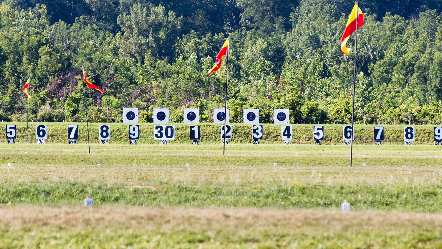 2018_palma_atterbury-12_targets.jpg (1)