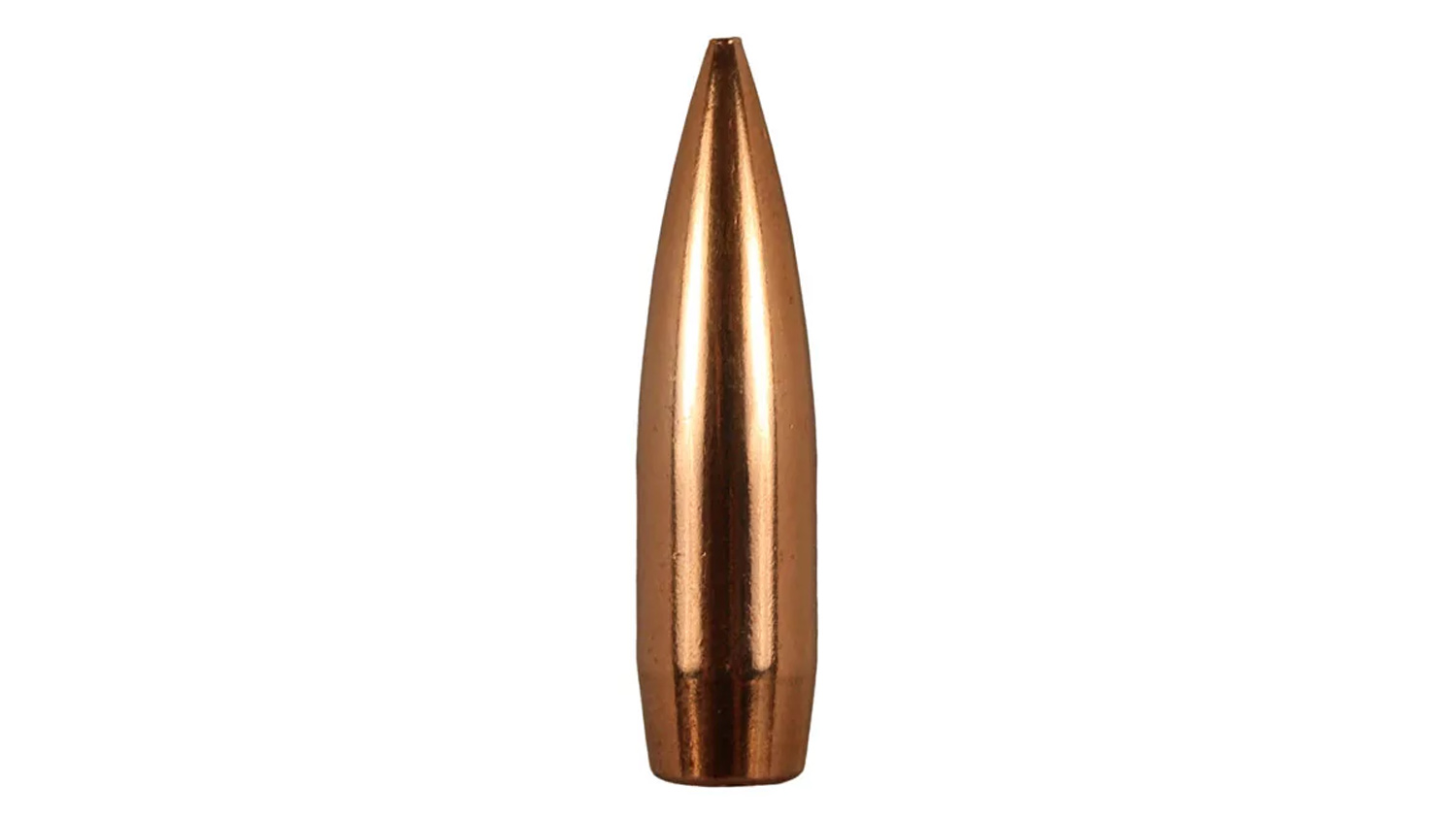 heavybullet.jpg