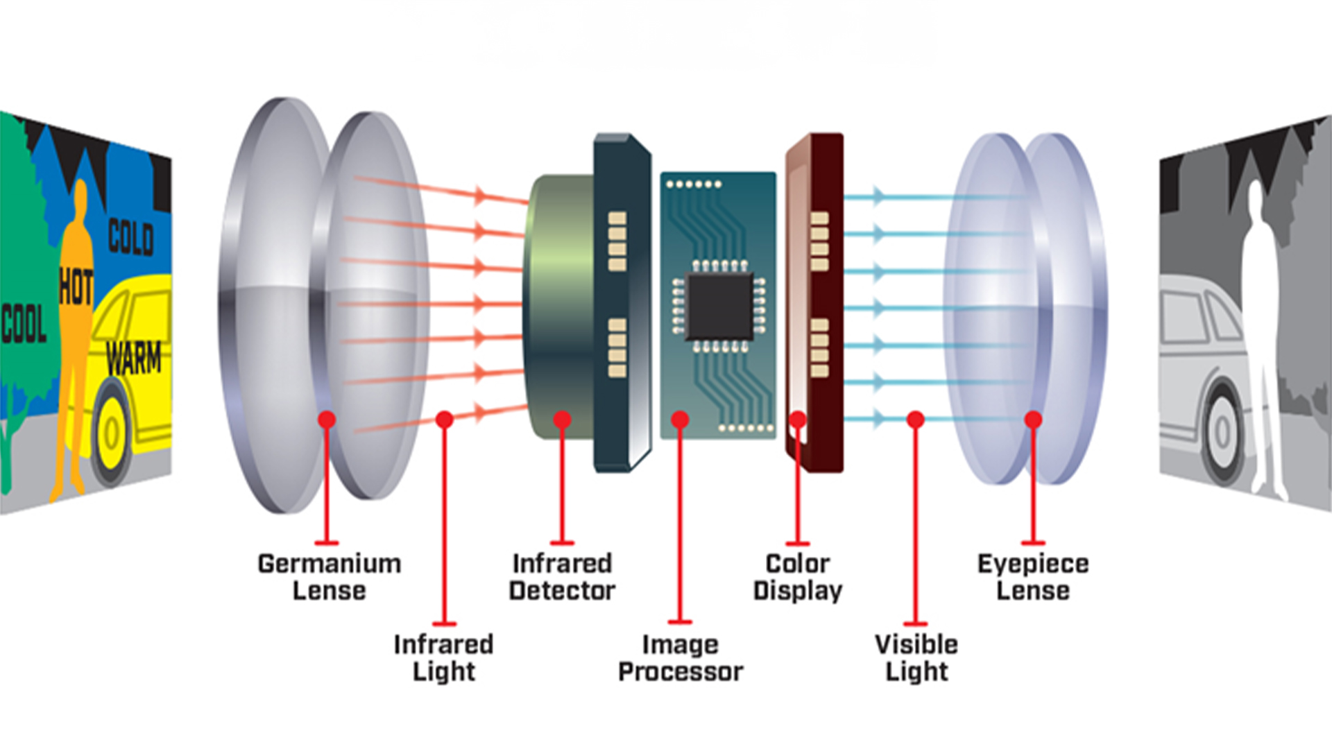 Thermal vision internal view