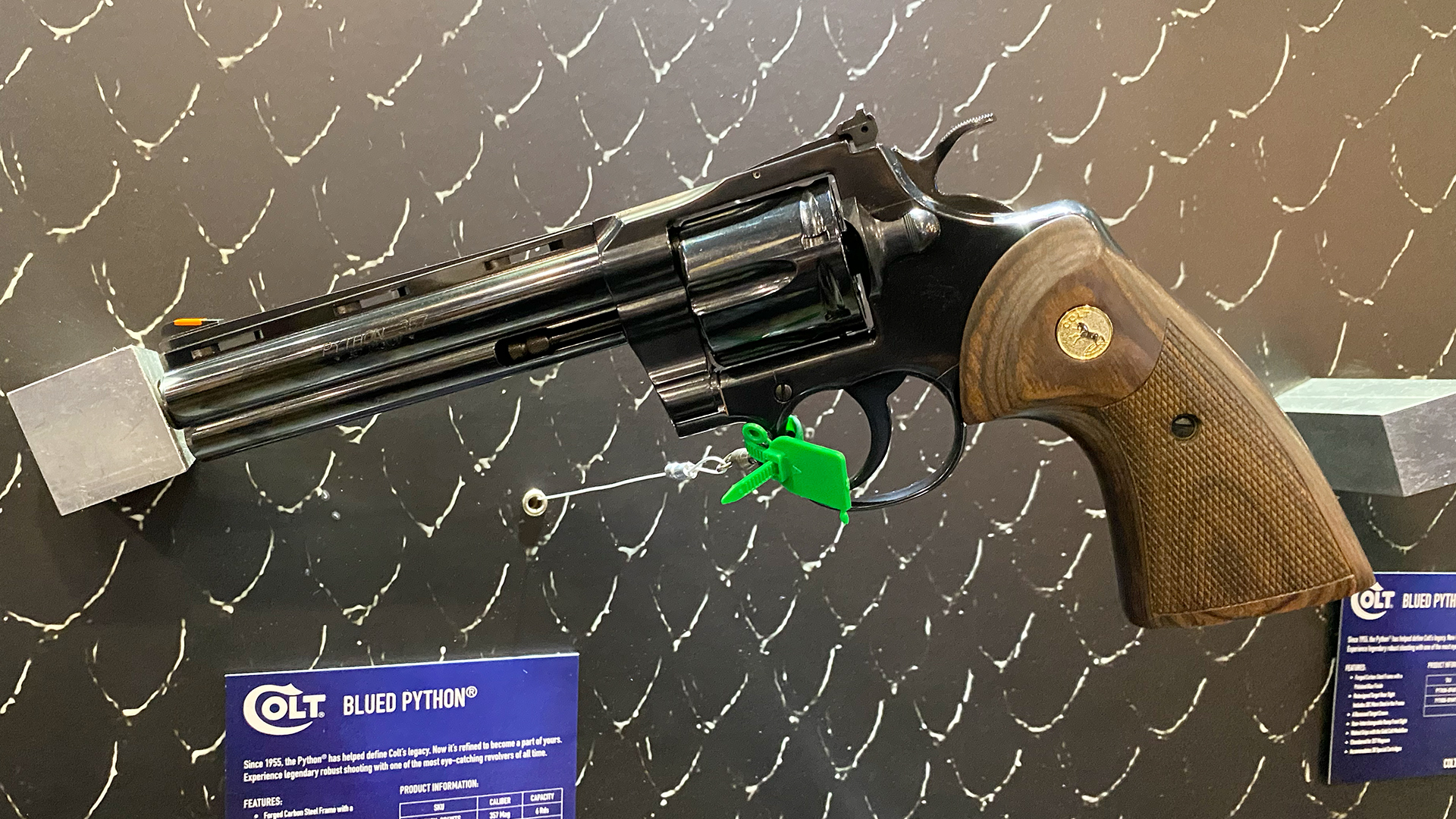 Colt blued Python