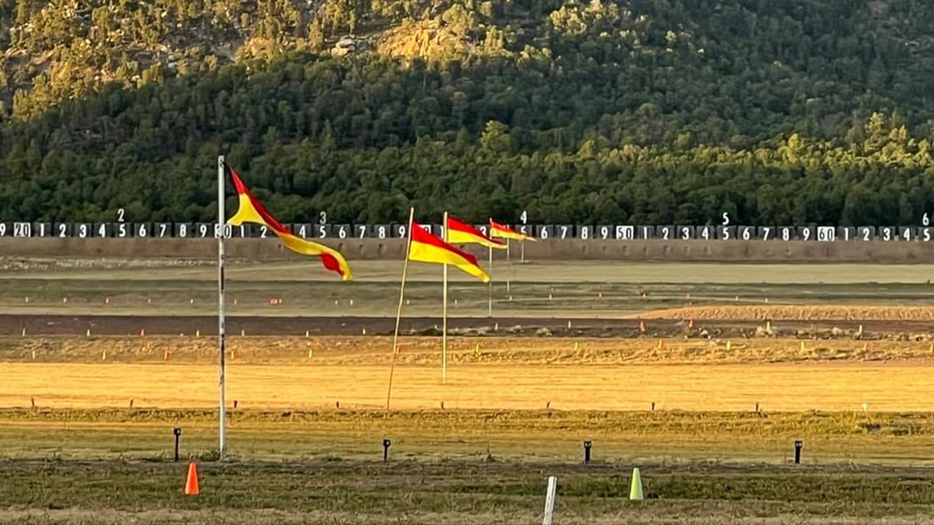 Wind flags