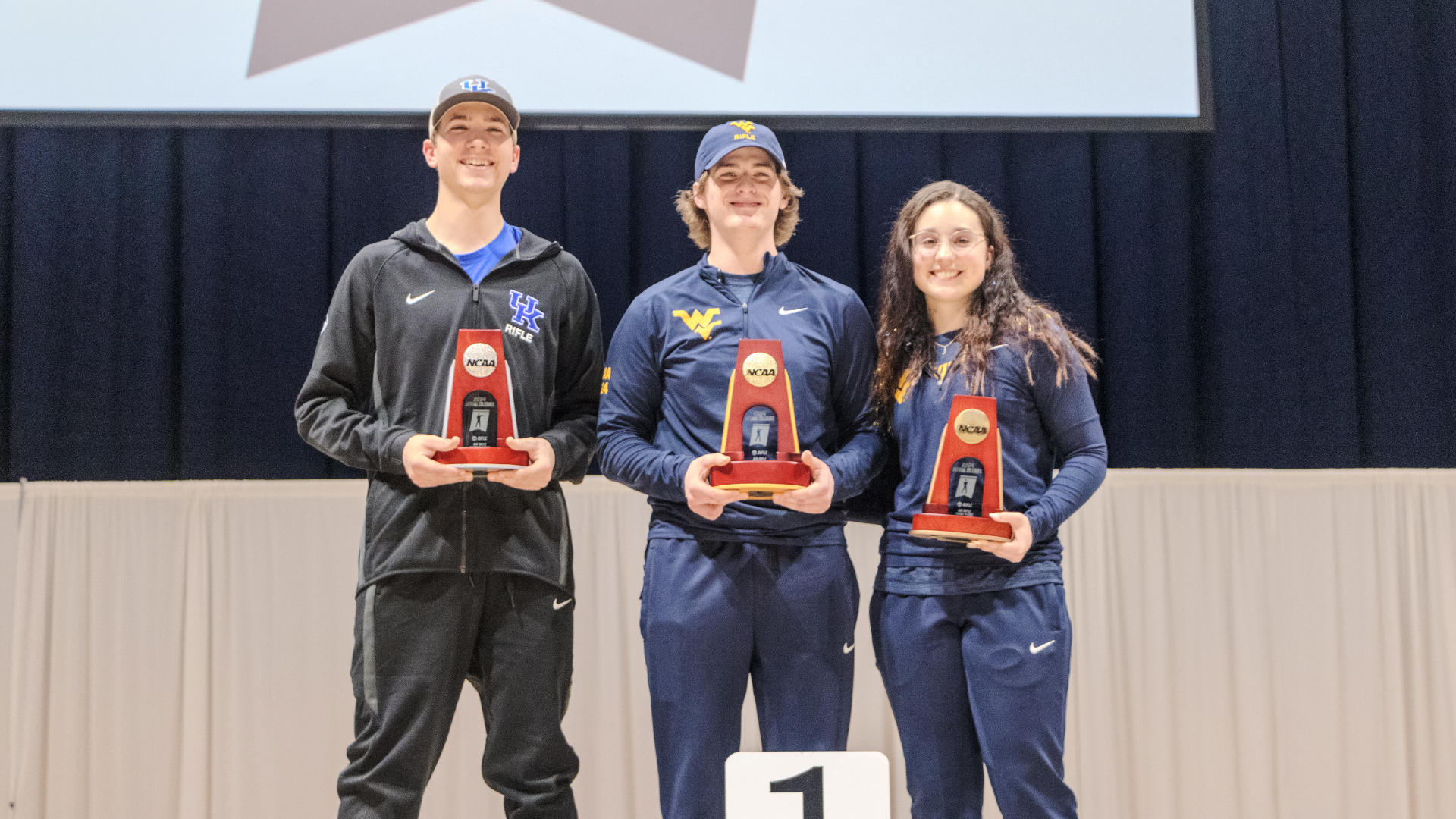 Air rifle top three