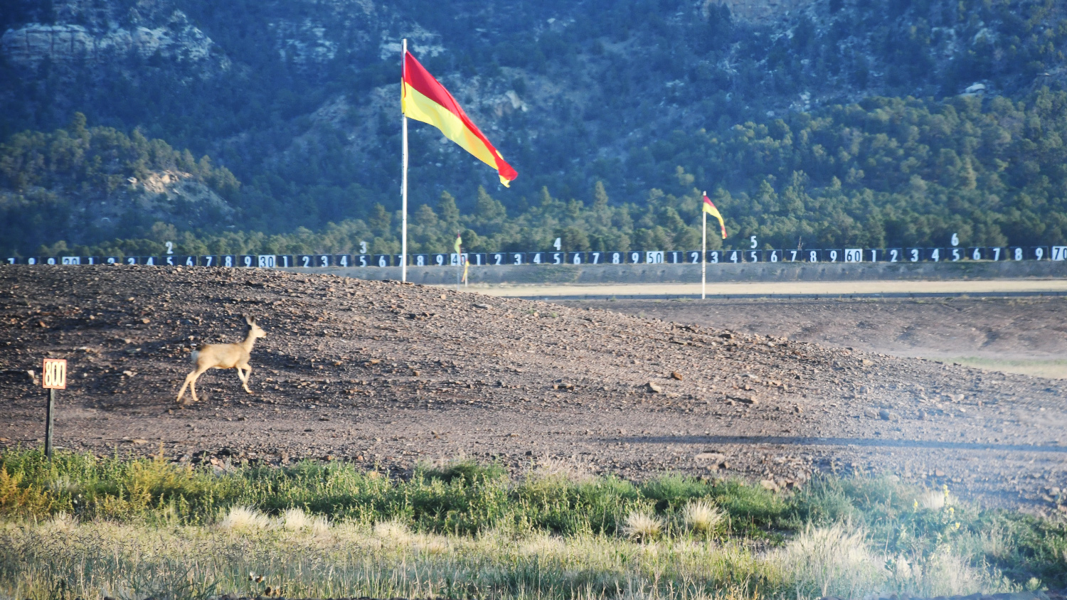 Home on the range ...