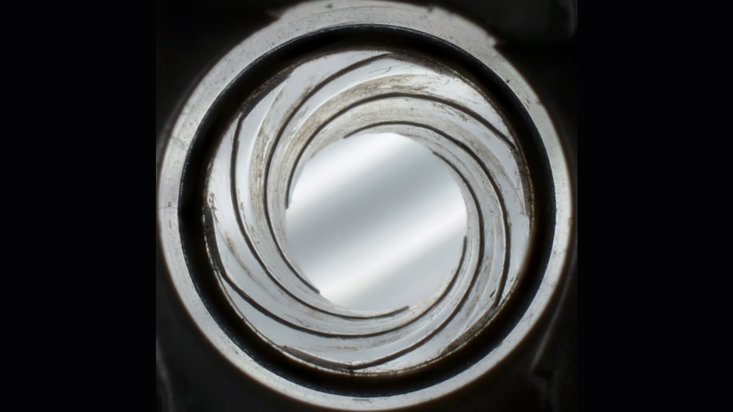 figure1_lead.jpg