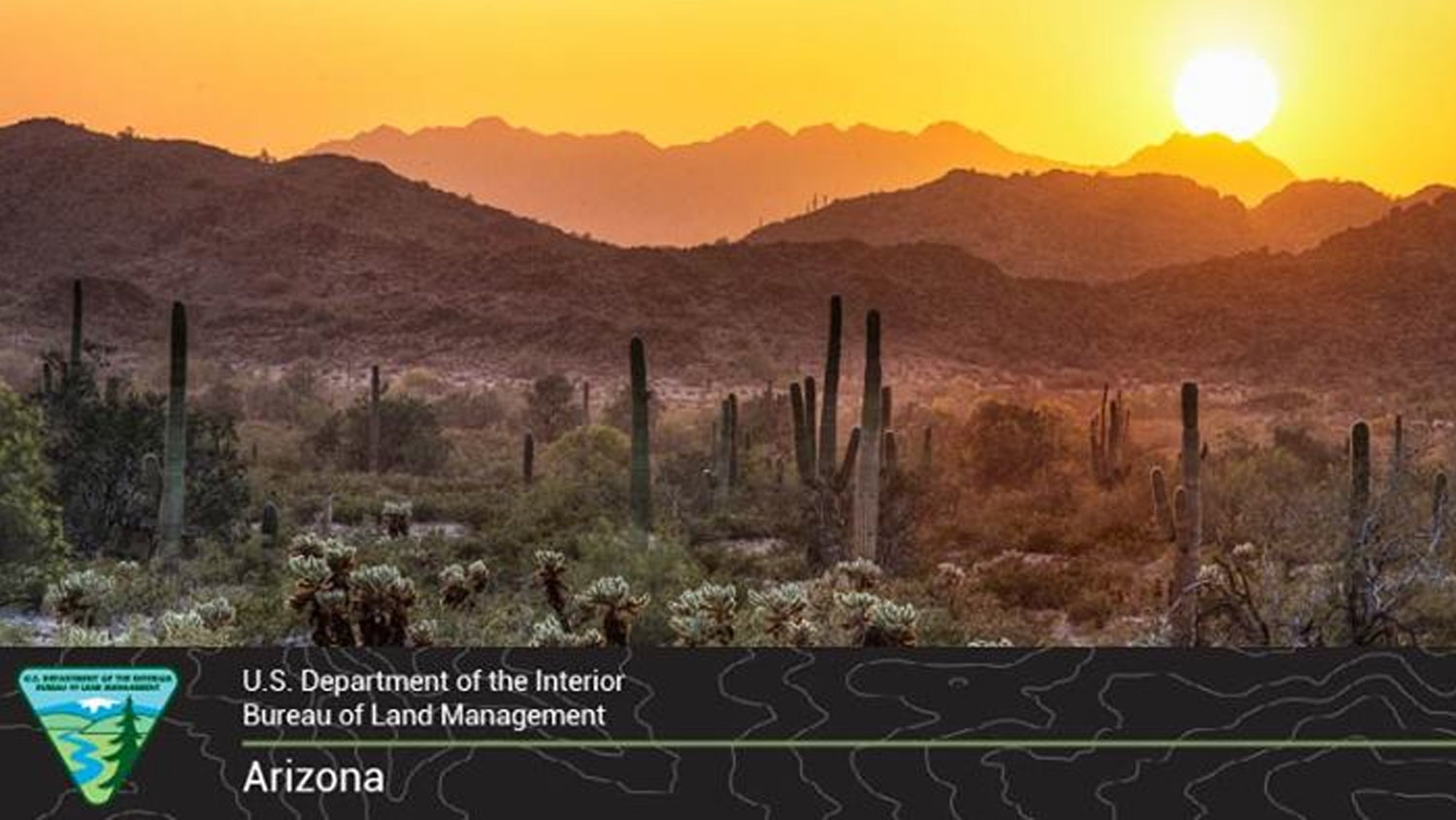 arizonablm-3.jpg